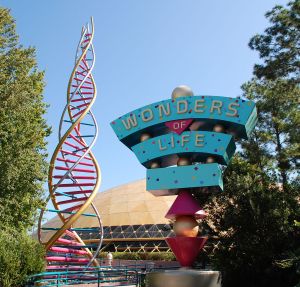 1024px-EPCOT-Wonders_of_Life